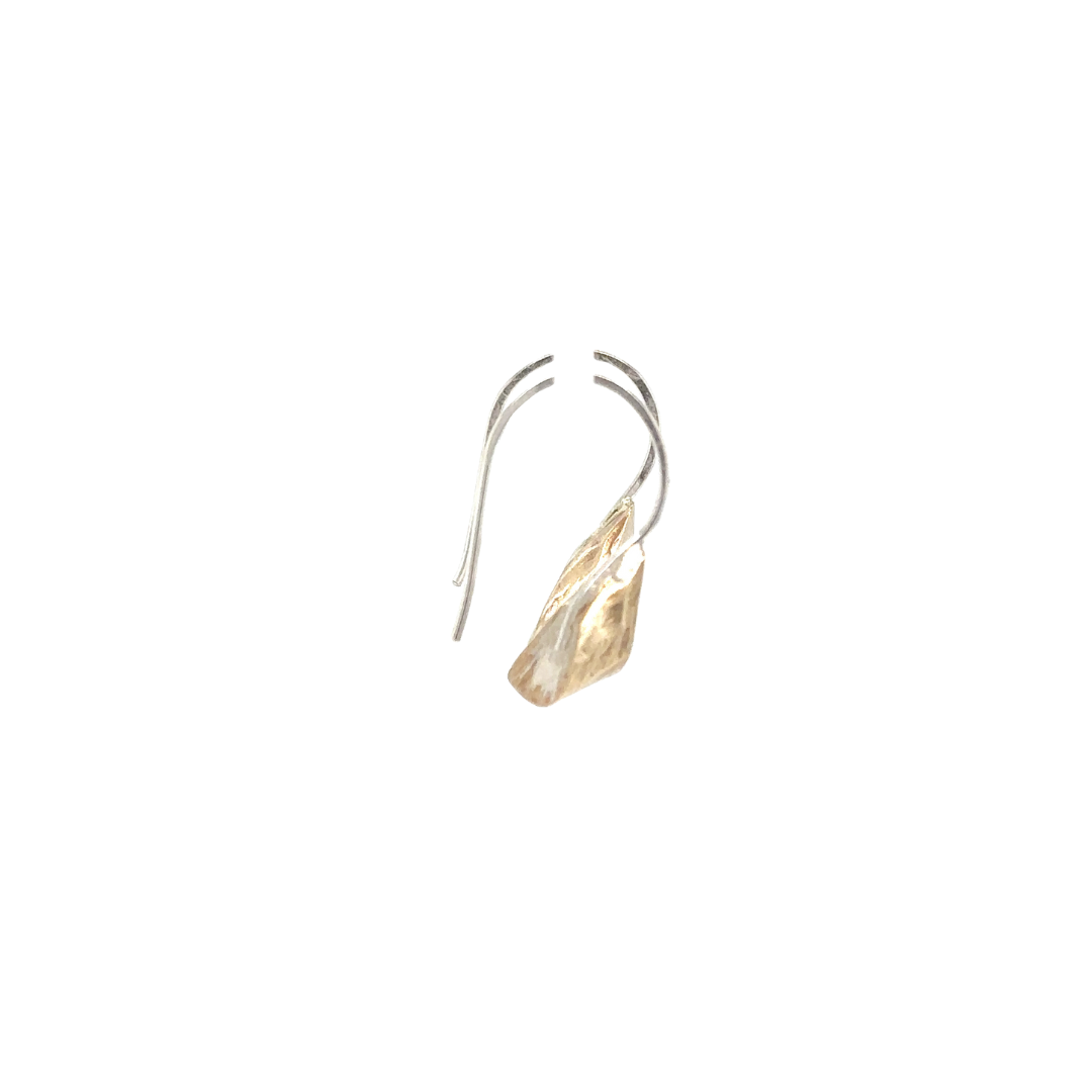 Echo Earrings in Bronze Side View
