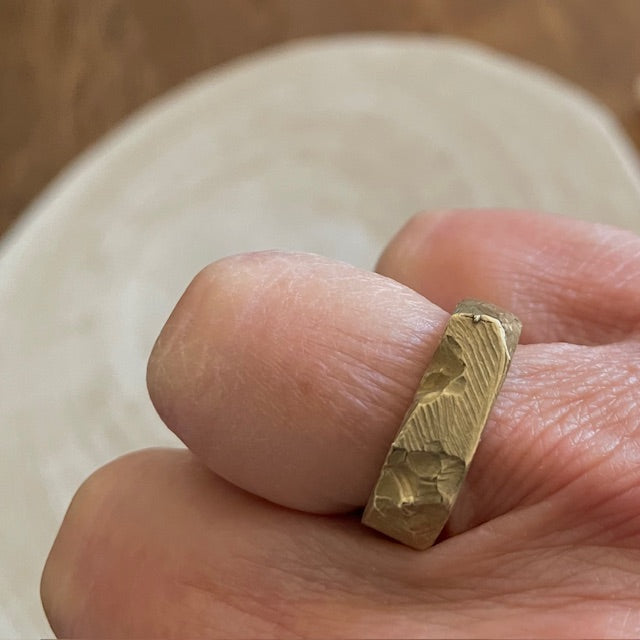 Solar Terrain Ring in Bronze