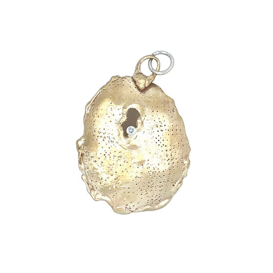 The Awaken Talisman Pendant is a talisman for stirring your soul and stepping fully into your truth. 
A hand-sculpted form, raw and organic, bears a burnished opening at its center, a reminder that awakening often begins with the fire that breaks us open. From this hollow, a brilliant diamond shines - the light of resilience, clarity, and possibility.