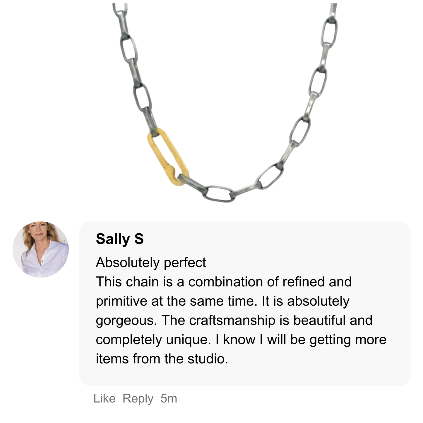Oxidized Silver Chain with Gold Paper Clip Connector