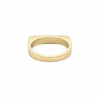 Back side of Lunar Eclipse Ring in Bronze 