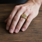 Stargazer Ring in Bronze on Male