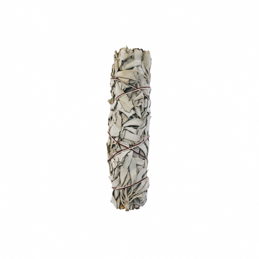 Rolled sage bundle with white and green leaves on a white background