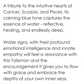Water Four Elements Talisman Pendant