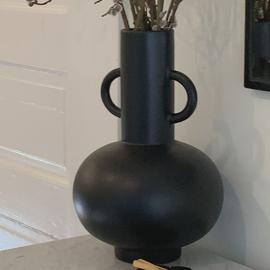 Video of Scared Bowls in home 