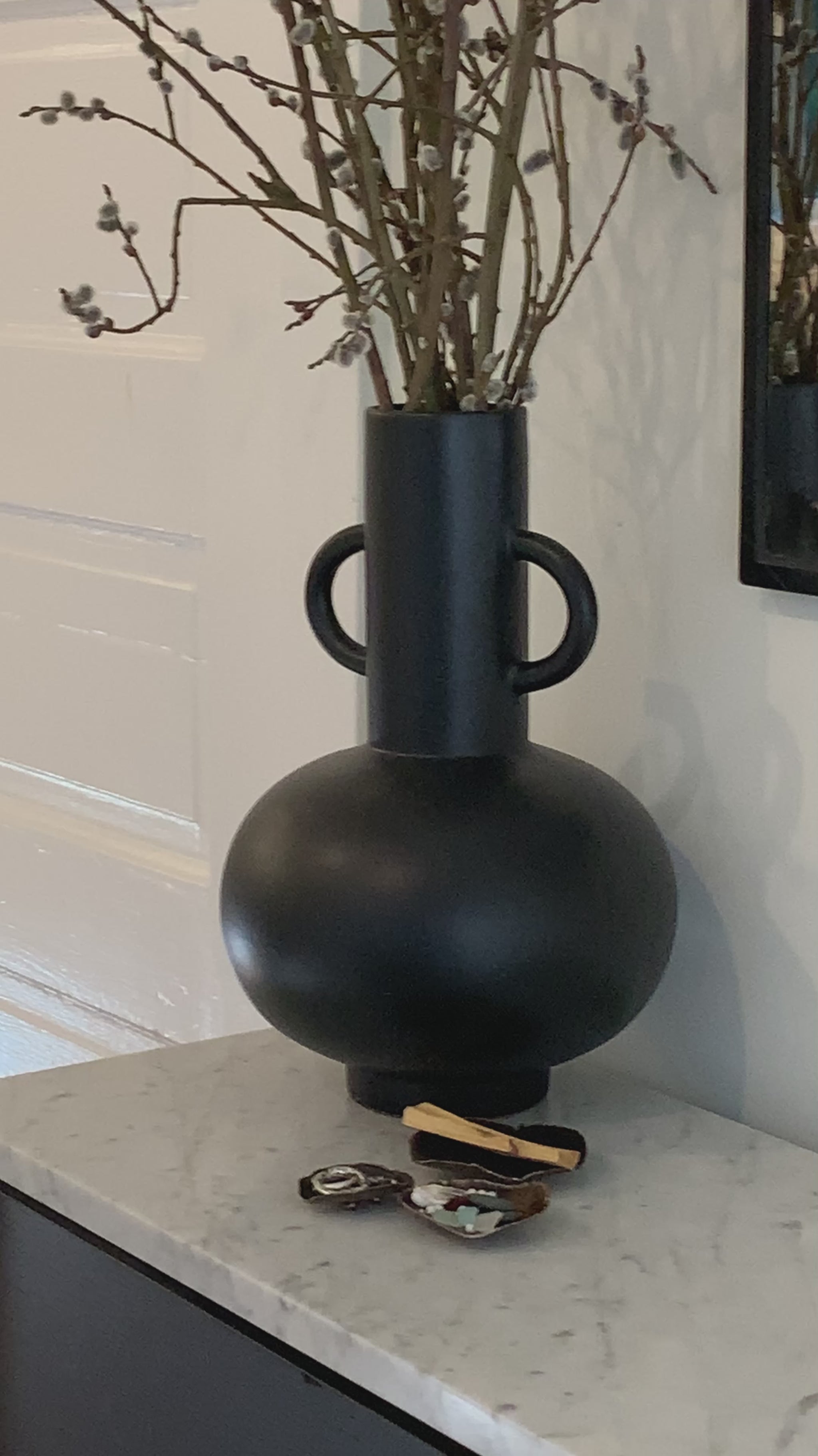 Video of Scared Bowls in home 