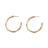 Bronze Small Hoop Earrings